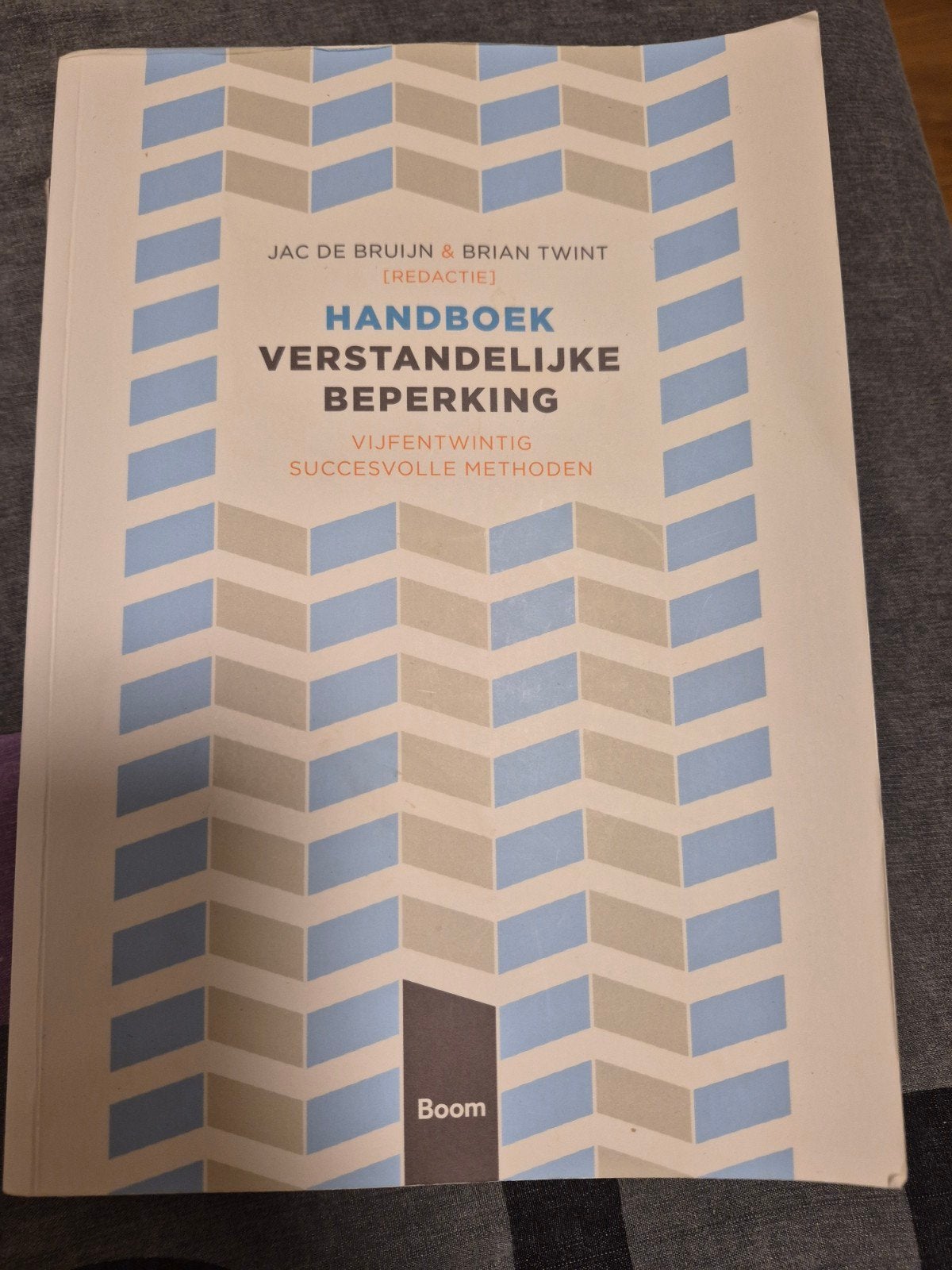 Handboek verstandelijke beperking, Ophalen of Verzenden, Gelezen