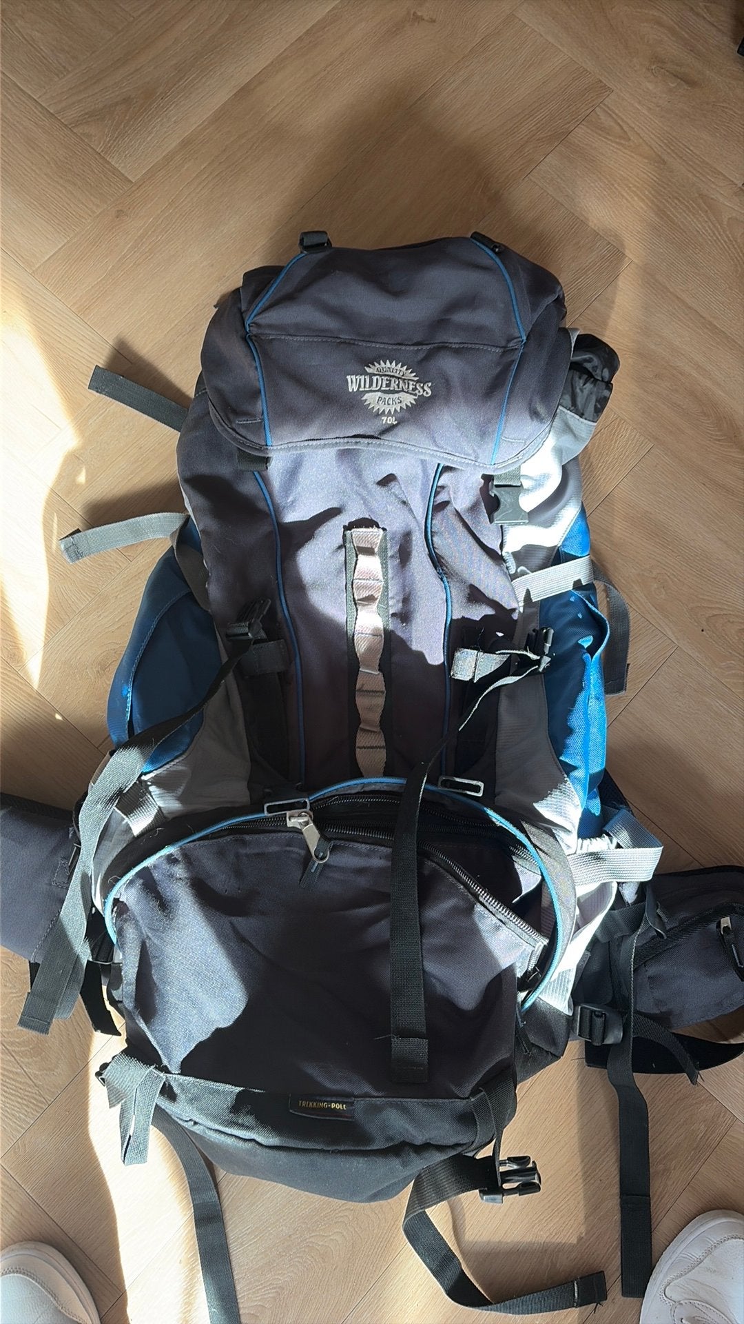 Backpack, 40 cm of meer, Gebruikt, 60 cm of meer, Ophalen