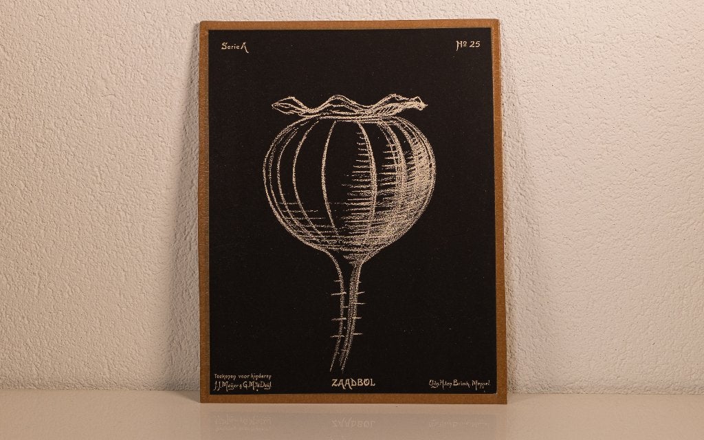 Leesplank -jes. oa Dialect leesplankjes Woordplaatjes enz., Antiek en Kunst, Ophalen, Natuur en Biologie