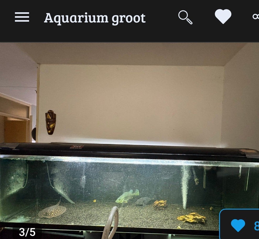 aquaruim gezocht 2 meter bij 60 bij 60, Dieren en Toebehoren, Ophalen of Verzenden