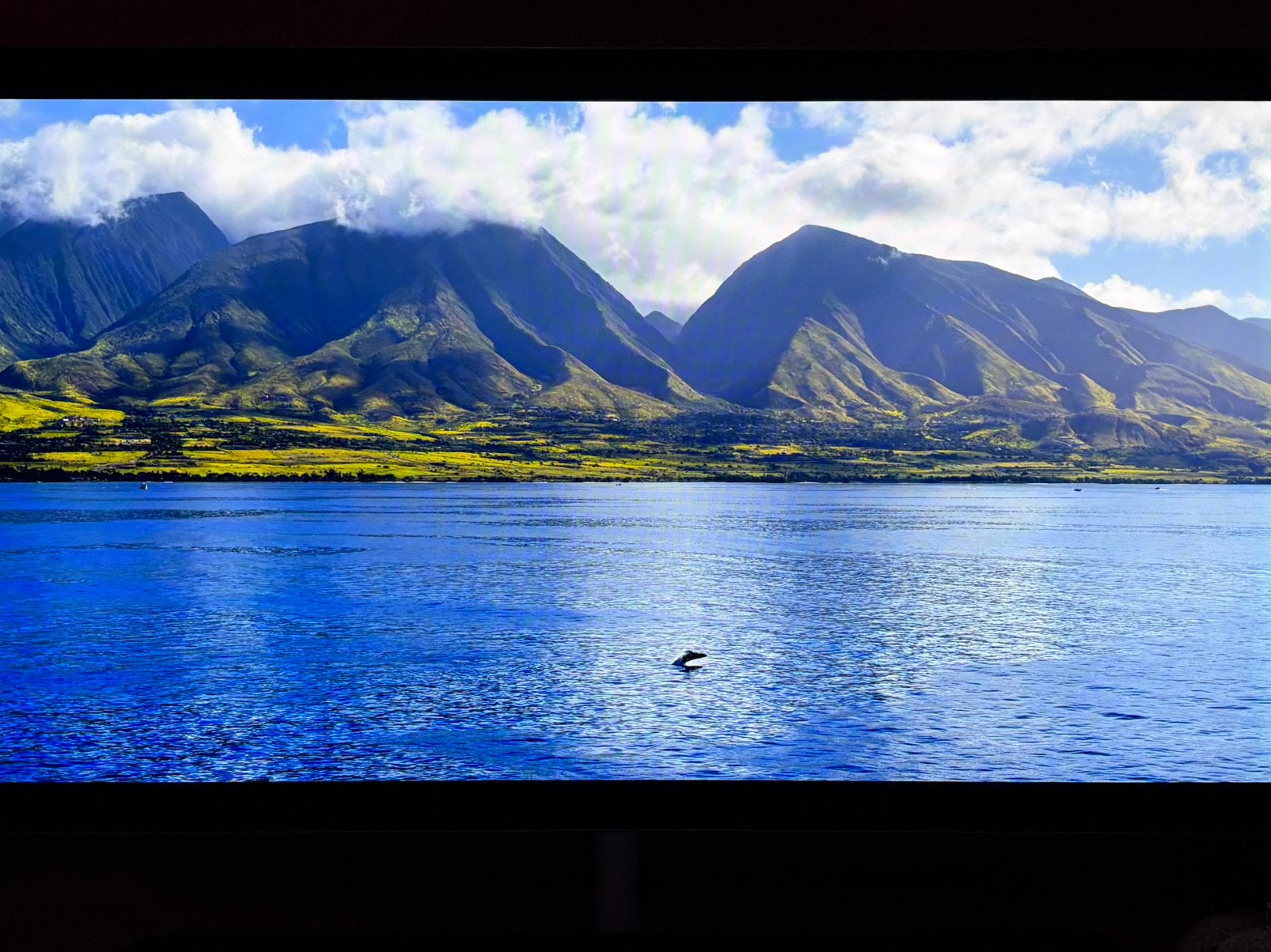 Samsung OLED 65S95B 2022