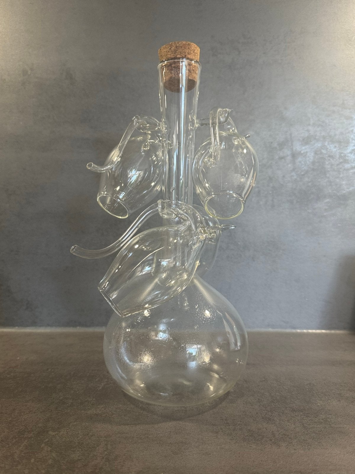 Glazen port karaf met 4 drinkglazen - Uniek design, Ophalen, Zo goed als nieuw, Glas, Modern