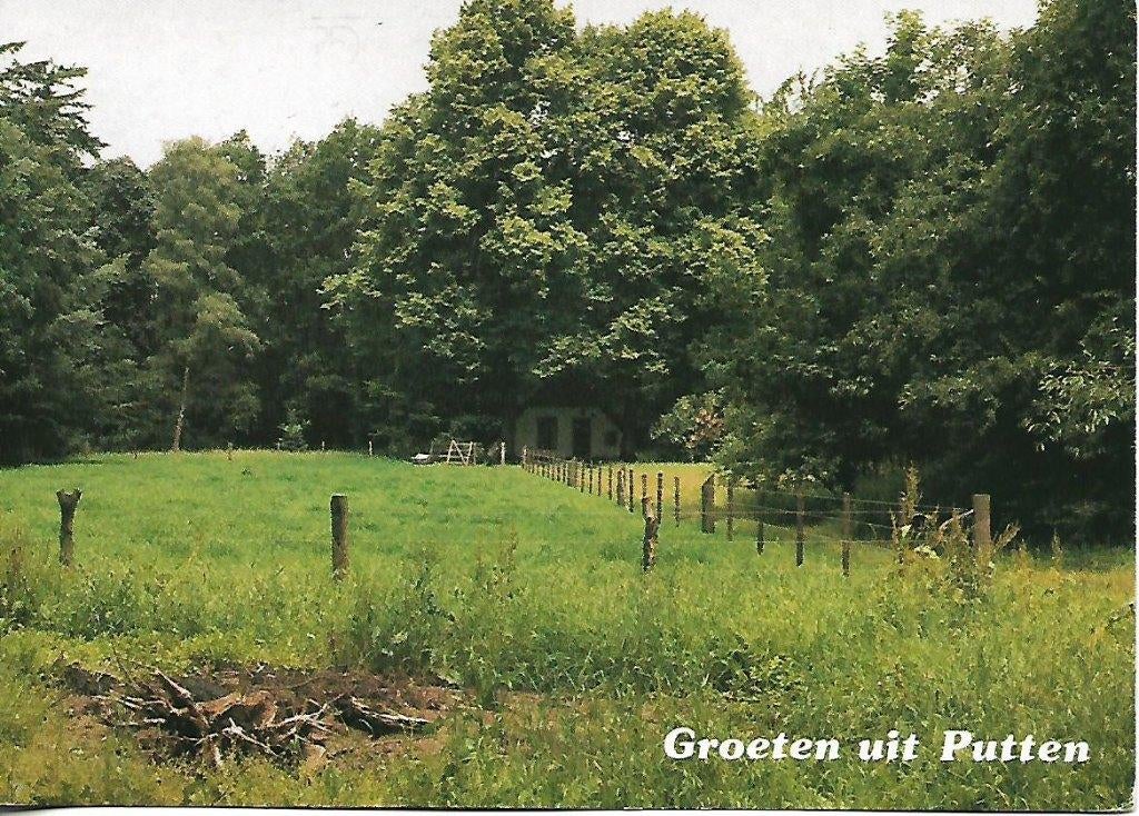 Putten- -Weidelandschap., Verzenden, 1980 tot heden, Gelopen, Gelderland