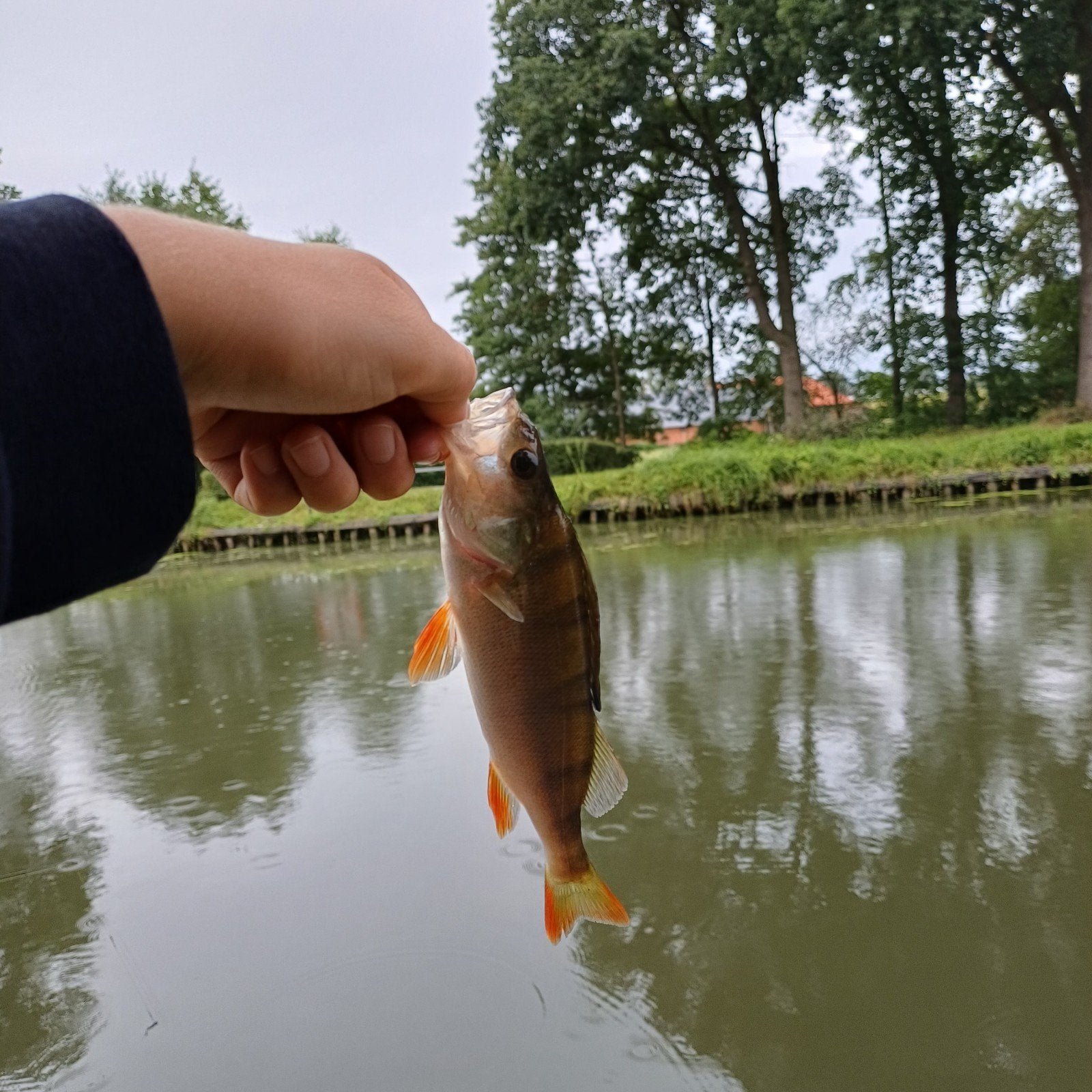 visspullen gezocht, Eén persoon, Overige typen
