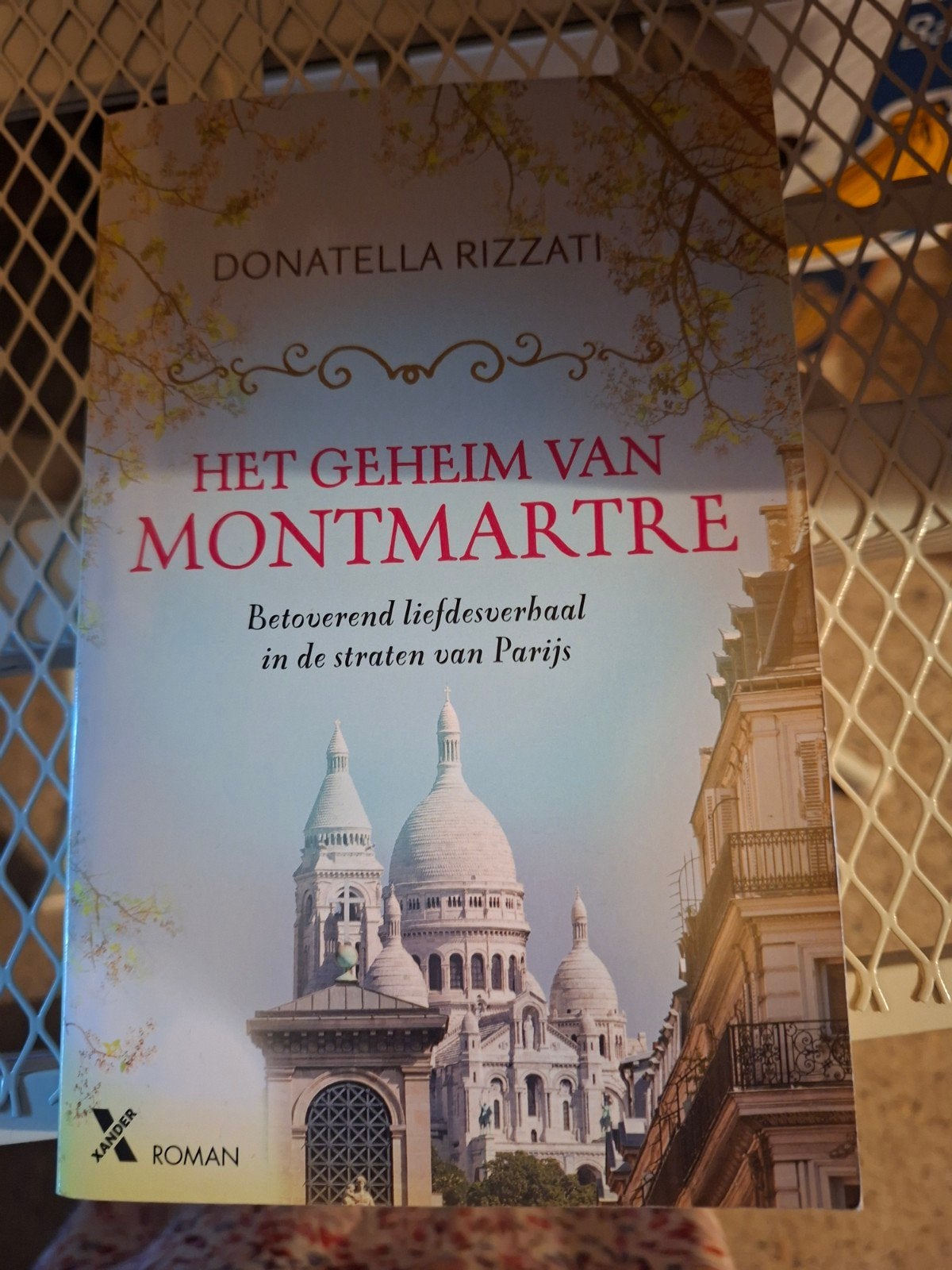 Donatella Rizzati - Het geheim van Montmartre (LP), Ophalen of Verzenden, Zo goed als nieuw, Donatella Rizzati