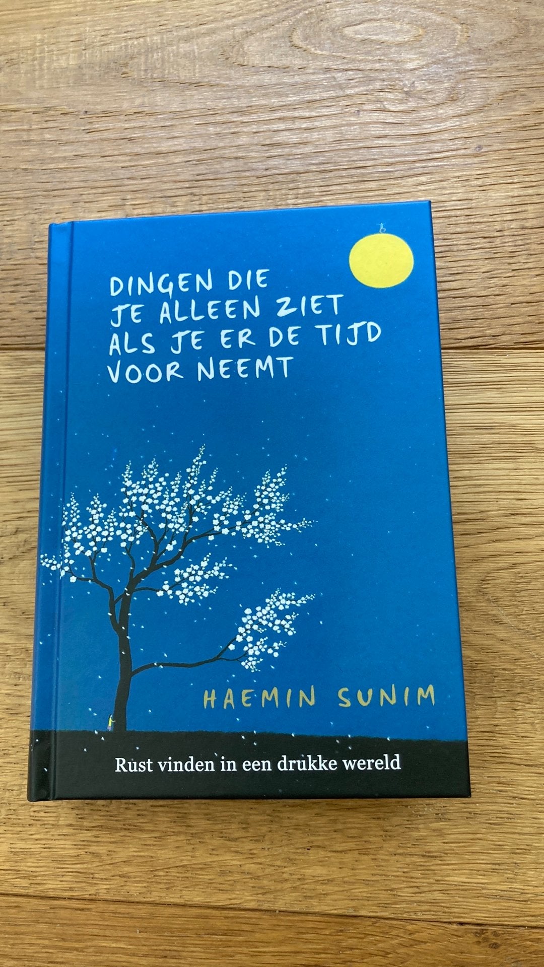 Dingen die je alleen ziet als je er de tijd voor neemt, Ophalen of Verzenden, Zo goed als nieuw, Haemin Sunim