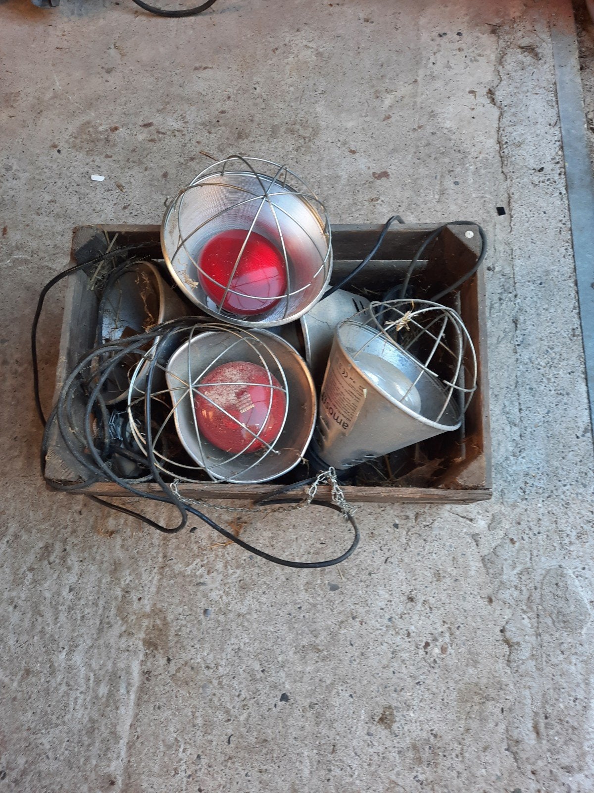 Warmte lampen, Dieren en Toebehoren, Pluimvee | Toebehoren, Ophalen, Overige typen