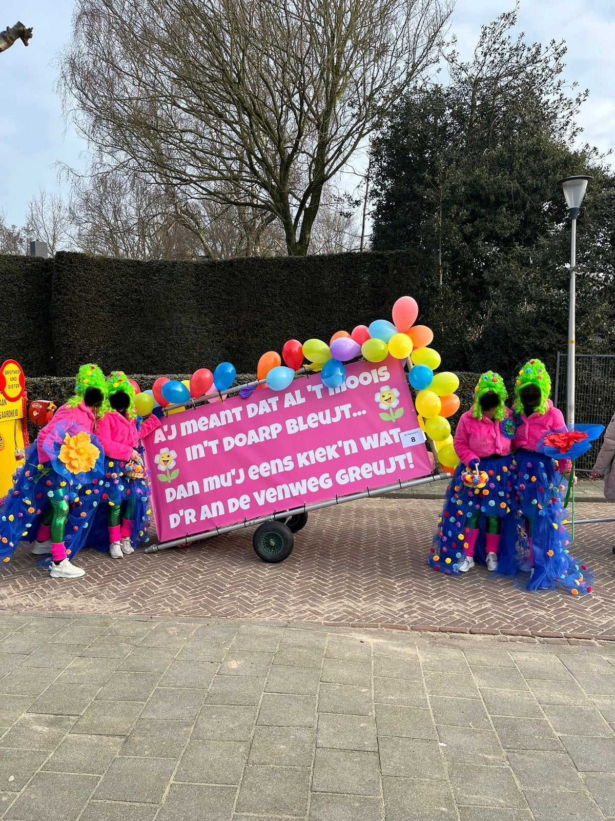 Pakken kleine loopgroep (4 pers) “Bloemendames”, Ophalen, Zo goed als nieuw, Carnaval, Kleding