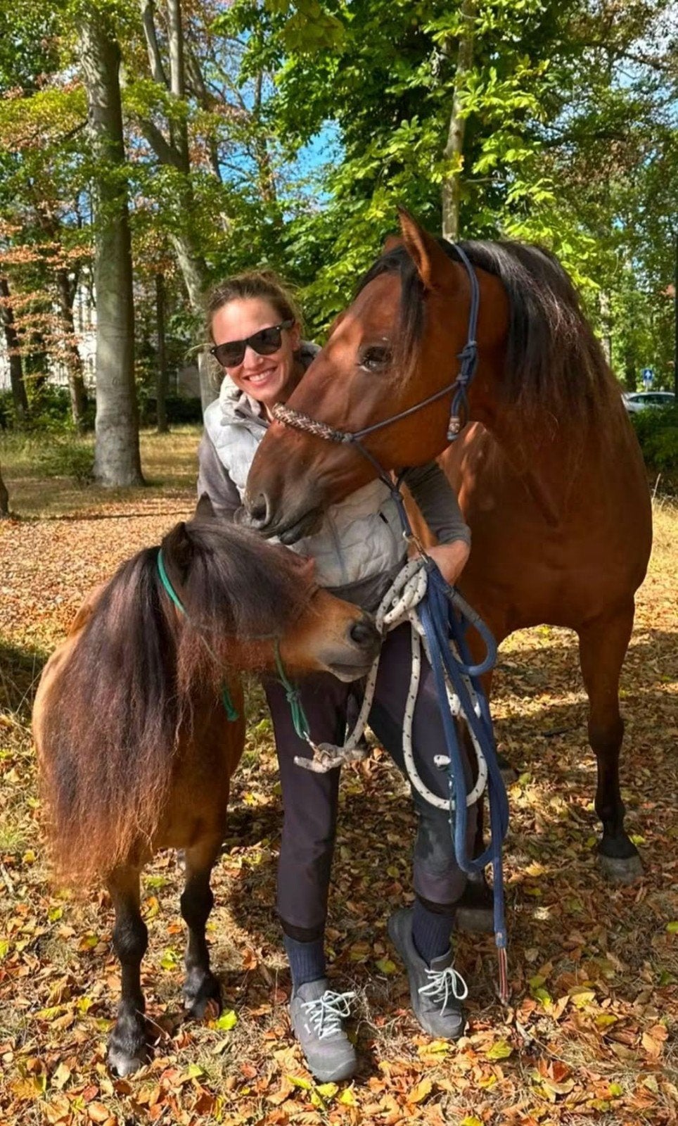 24/7 buitenplek vrij voor shetlander ruin in Bergen!, Dieren en Toebehoren, Stalling en Weidegang