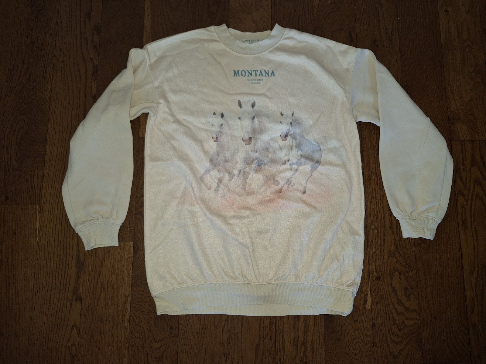 Trui met paarden, maat 146, Gebruikt, Meisje, Trui of Vest, H&M