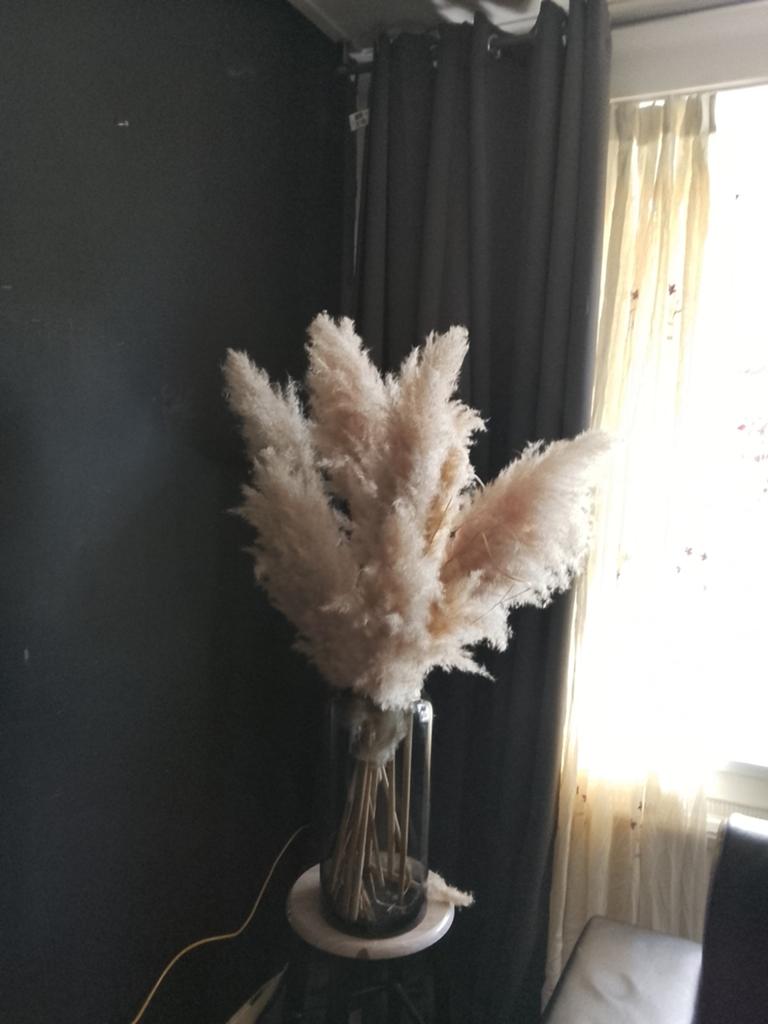 Decoratieve Pampas pluimen in glazen vaas, Overige kleuren, 50 tot 75 cm, Ophalen of Verzenden, Glas