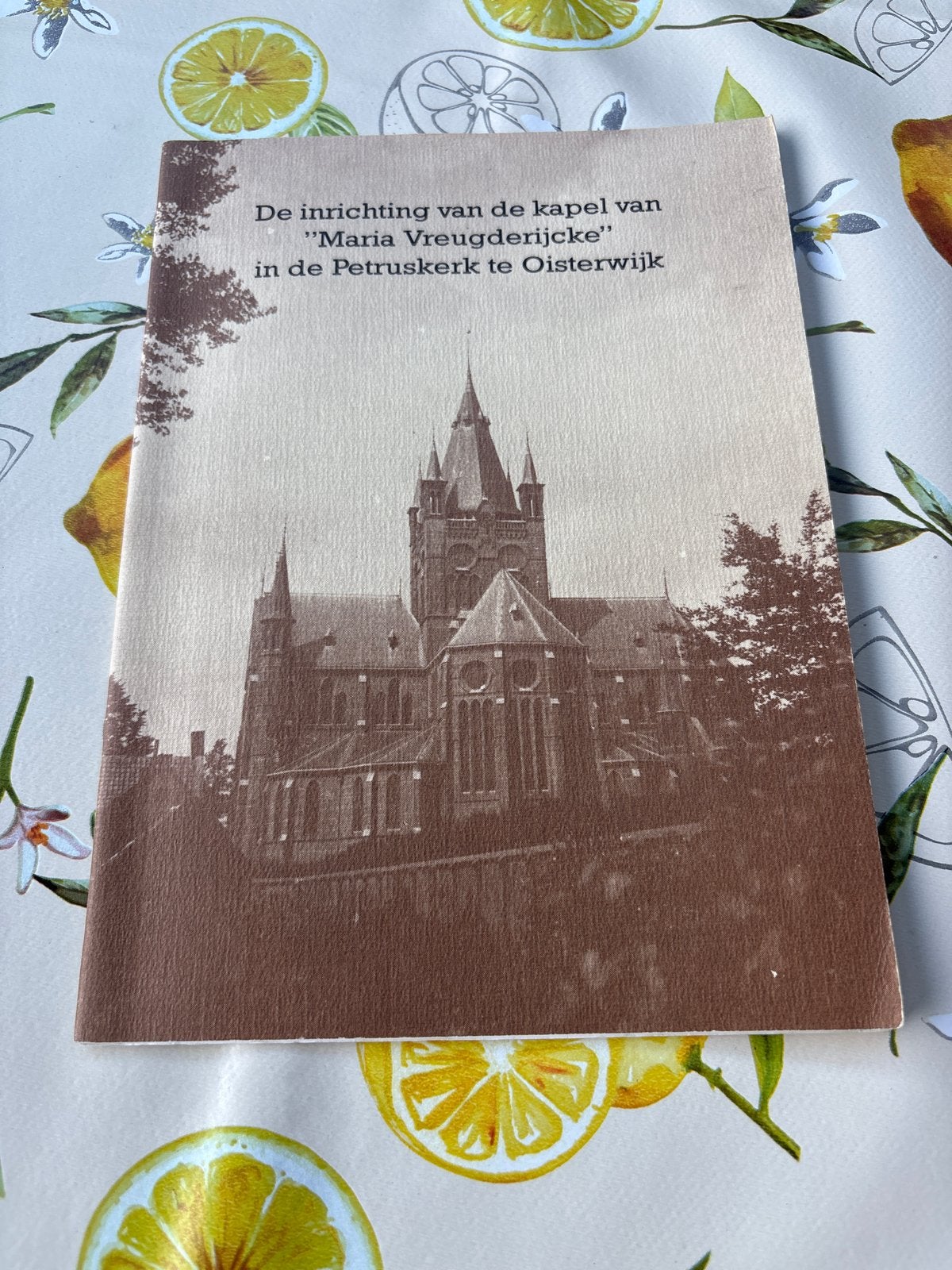 De inrichting van de kapel van "Maria Vreugderijcke", Ophalen of Verzenden, Gelezen, Christendom | Katholiek