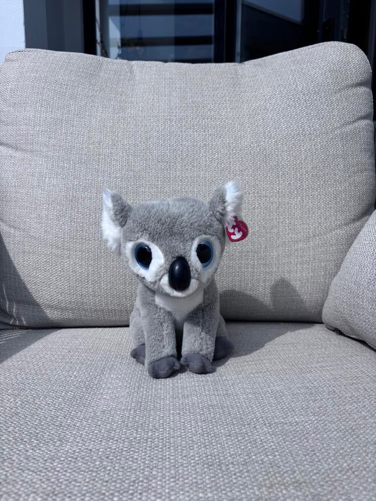 Beanie boos TY 24 cm 2 soorten, Ophalen of Verzenden