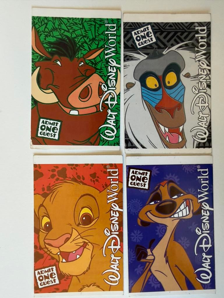 4 Tickets Disney World (Florida), Twee personen, Ticket of Toegangskaart