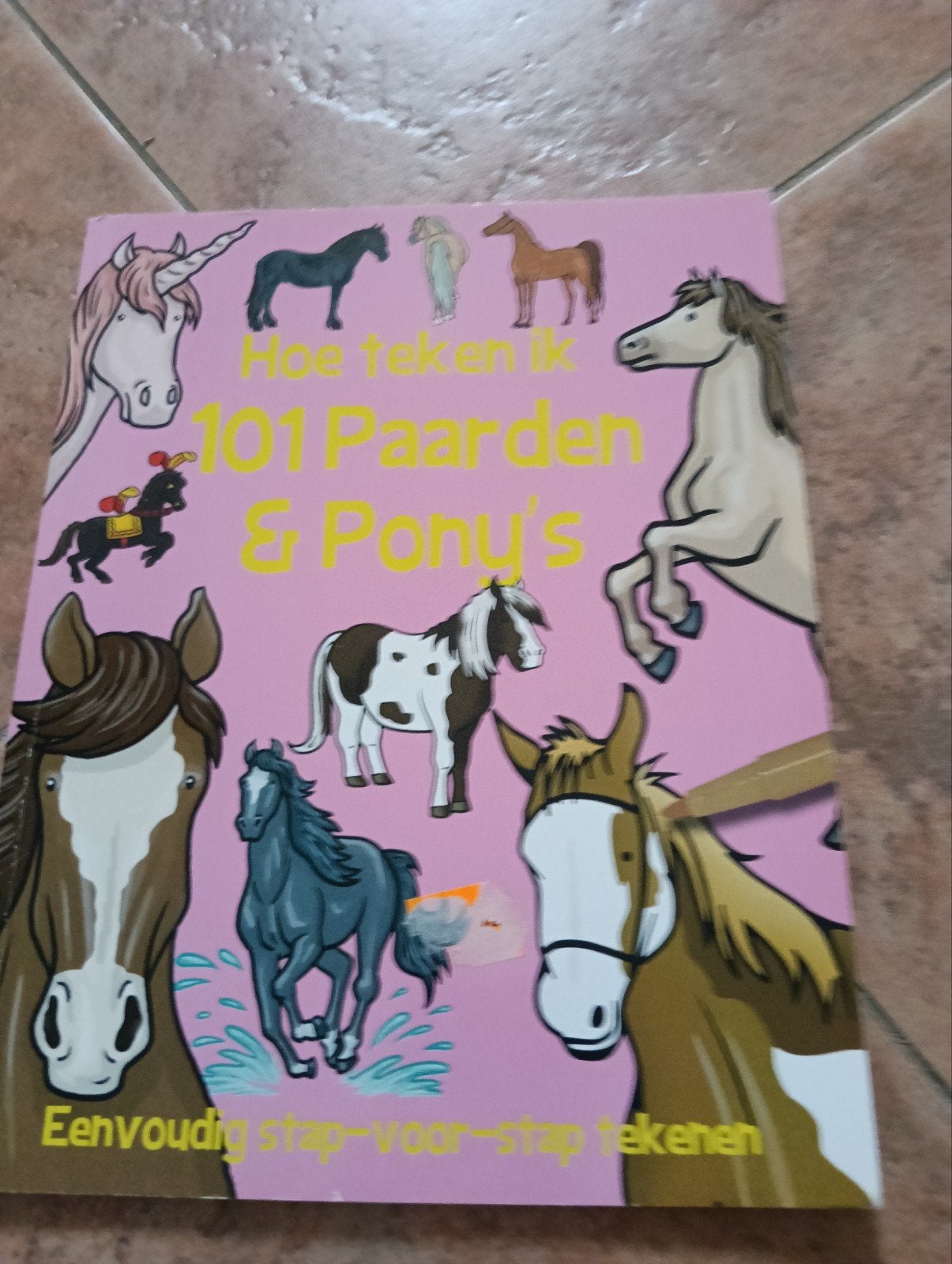 Richard Pickford - Hoe teken ik paarden en ponies, Non-fictie, Richard Pickford, Ophalen of Verzenden, Zo goed als nieuw