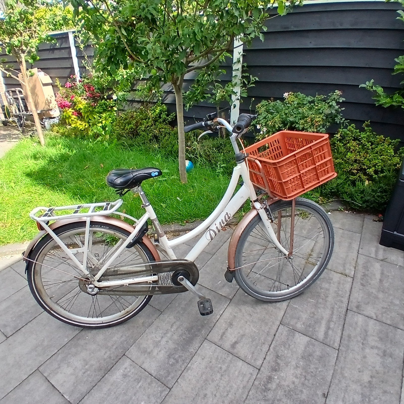 Gebruikte meisjesfiets., Terugtraprem, Gebruikt, Dina, Handrem