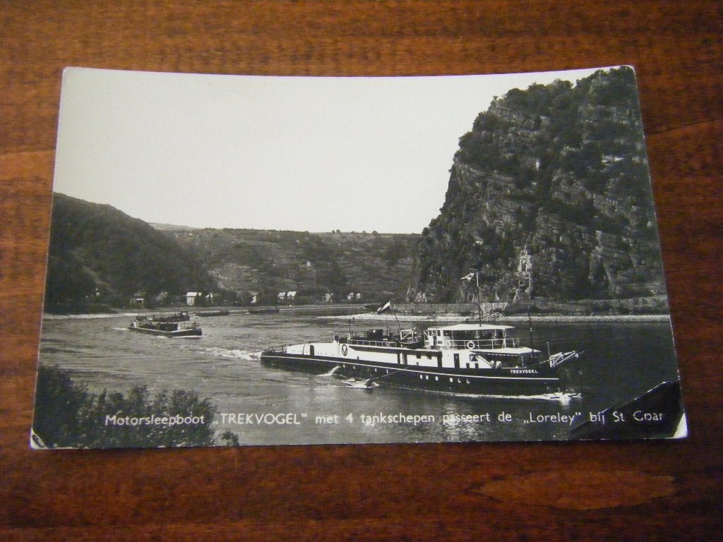 B41 - Rotterdam - Motorsleepboot Trekvogel - Oud, Ophalen of Verzenden, 1940 tot 1960, Zuid-Holland