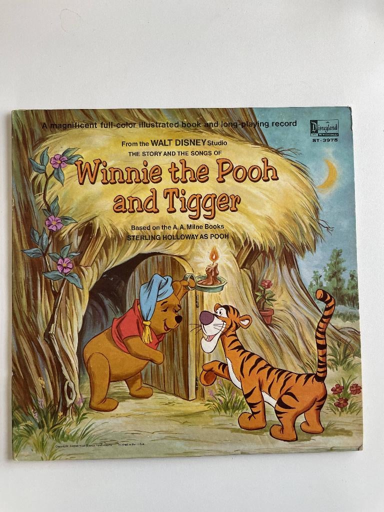 Winnie The Pooh and tigger Disney LP Vinyl de poeh tijgetje, Verzenden, Winnie de Poeh of vrienden, Gebruikt, Overige typen