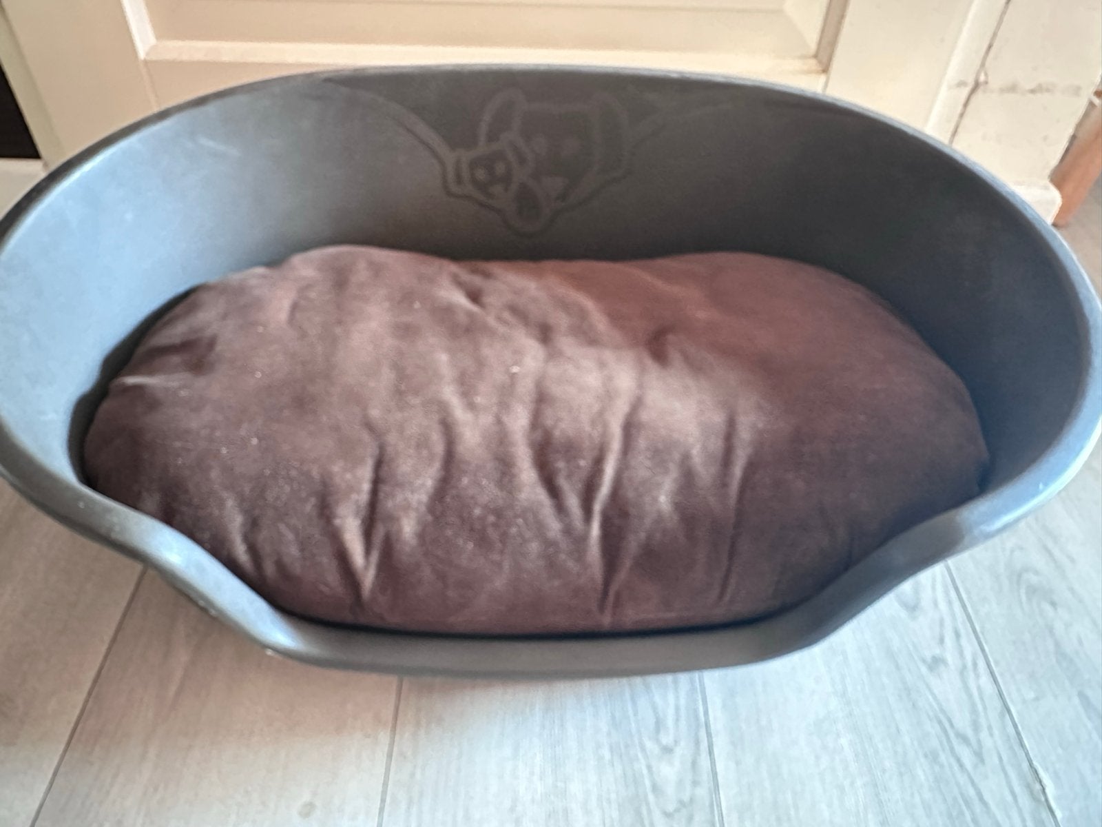 Prima honden mand Lindo met kussen van Zoo  plus, Ophalen, Zo goed als nieuw, Overige