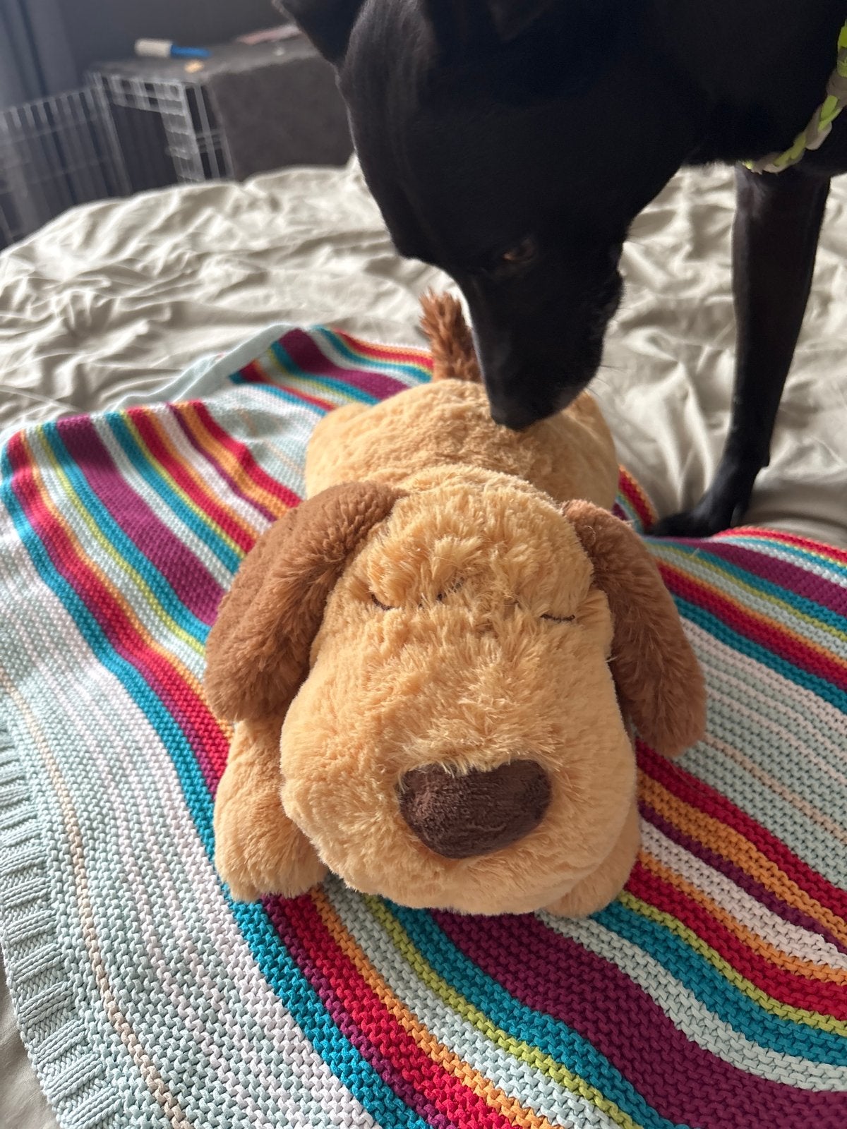 4paws life Knuffelhond met hartslag, Ophalen, Zo goed als nieuw