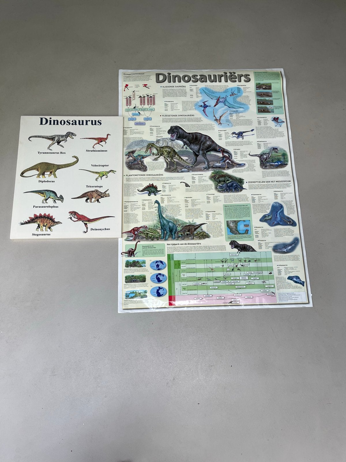 Informatieposters over Dinosaurussen, Ophalen of Verzenden, Gebruikt, Deurposter of groter