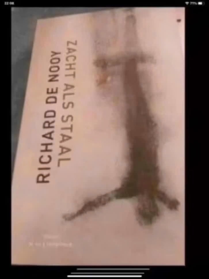 Zacht als staal - Richard de Nooy, Richard de Nooy, Ophalen of Verzenden, Gelezen, Overige merken