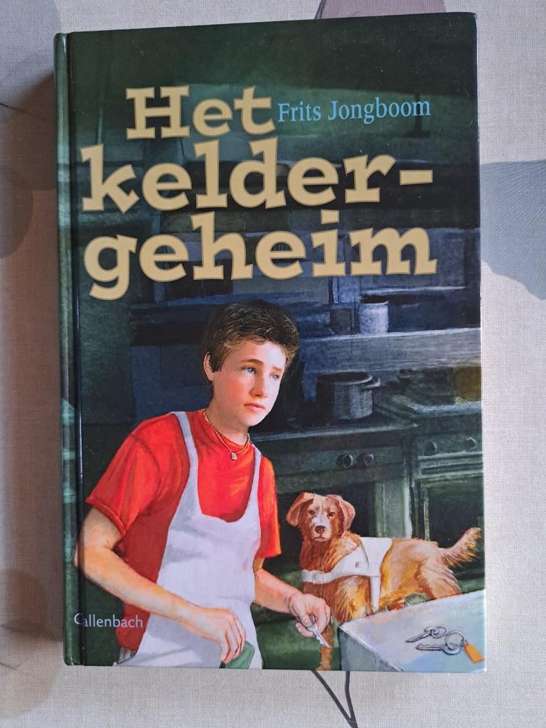 Het keldergeheim - Frits Jongboom, Boeken, Ophalen of Verzenden, Gelezen, Fictie algemeen