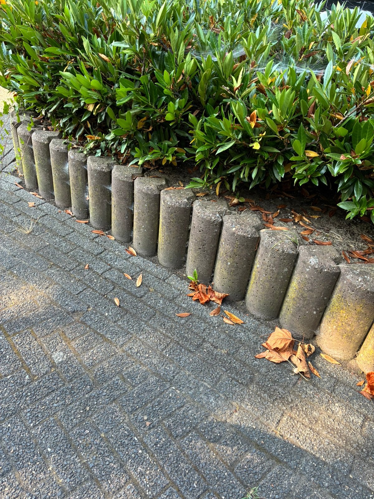Pallisades beton voor +-9 meter keerwand, lengte 90cm hoog, Tuin en Terras, Ophalen, Gebruikt, Minder dan 25 cm, Beton