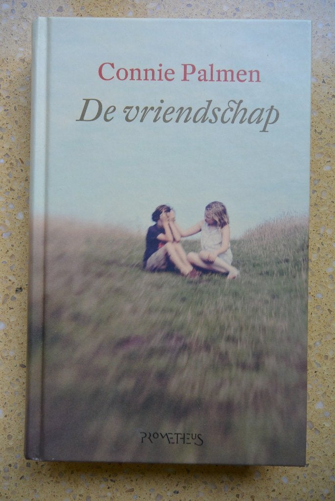 De vriendschap - Connie Palmen, Boeken, Ophalen of Verzenden, Zo goed als nieuw, Nederland, Connie Palmen