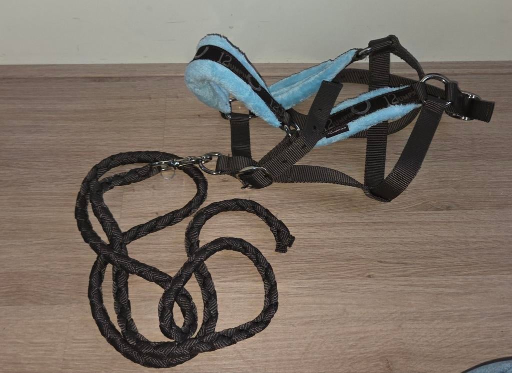 Halster-set, Ophalen of Verzenden, Zo goed als nieuw