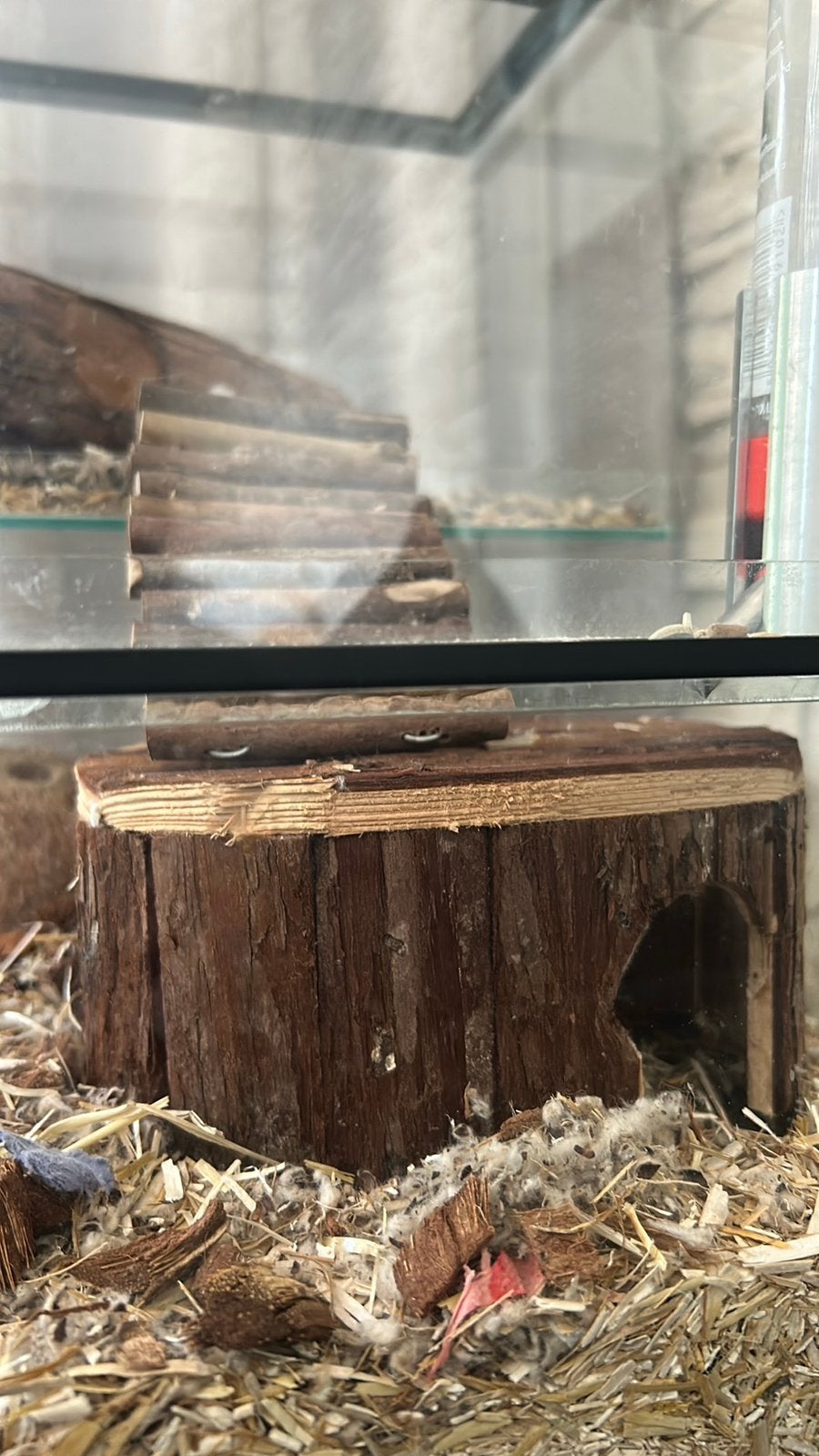Hamsterhok terranium, Dieren en Toebehoren, Ophalen