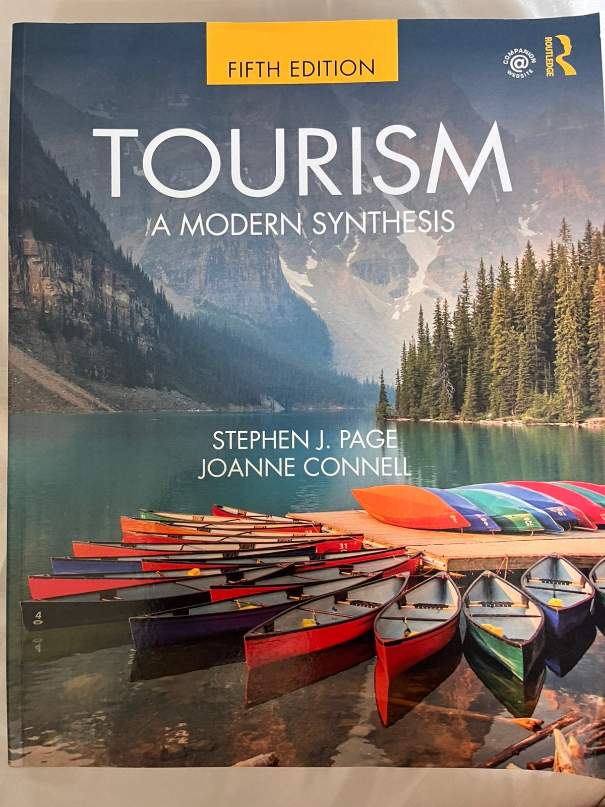 Tourism a modern synthesis, Ophalen of Verzenden, Beta, Zo goed als nieuw, WO