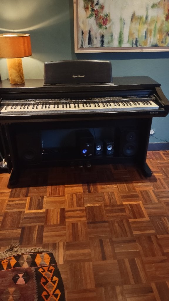 TECHNICS  sx-PR 305 K    Digitale piano voor onderdelen, Ophalen, Gebruikt, Zwart, Digitaal