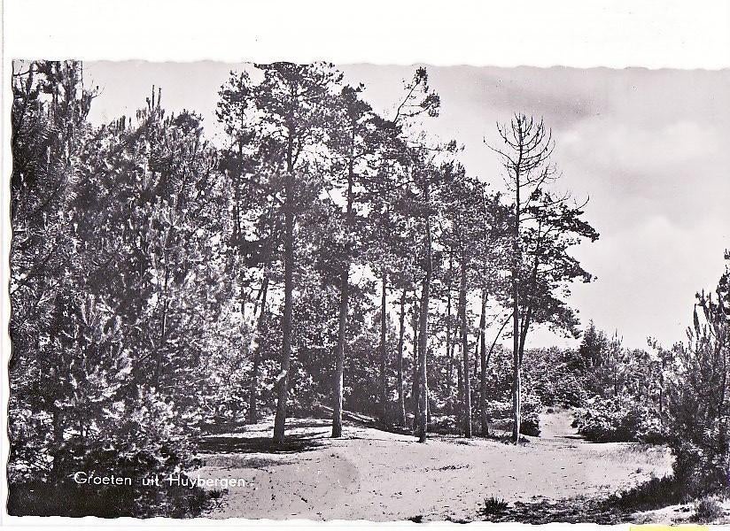 Huybergen (N.Br.) Groeten uit. Bosgezicht uit 1958 -, Verzenden, 1940 tot 1960, Gelopen, Noord-Brabant