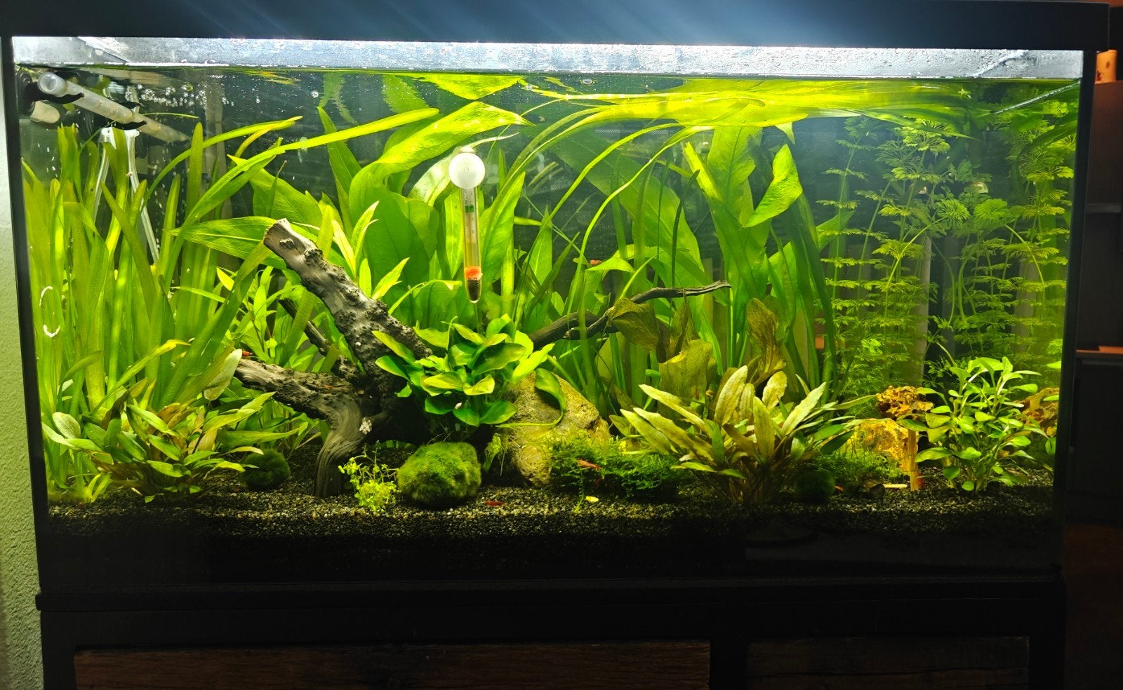 Aquarium met led Chihiros Universal, Oase filterpomp, CO2kit, Dieren en Toebehoren, Vissen | Aquaria en Toebehoren, Ophalen, Inclusief slangen
