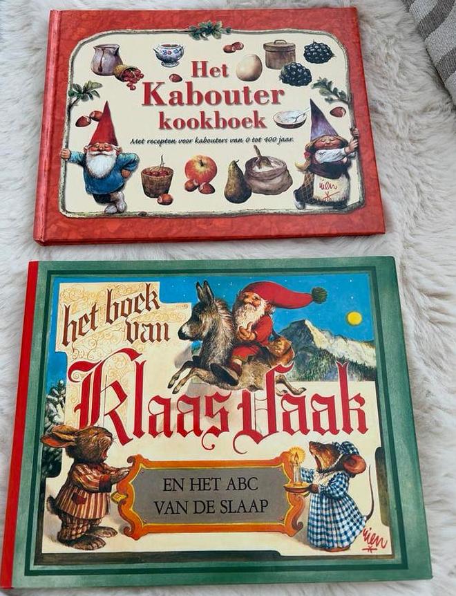 David de Kabouter, Rien poortvliet, Ophalen of Verzenden, Gelezen, Sprookjes