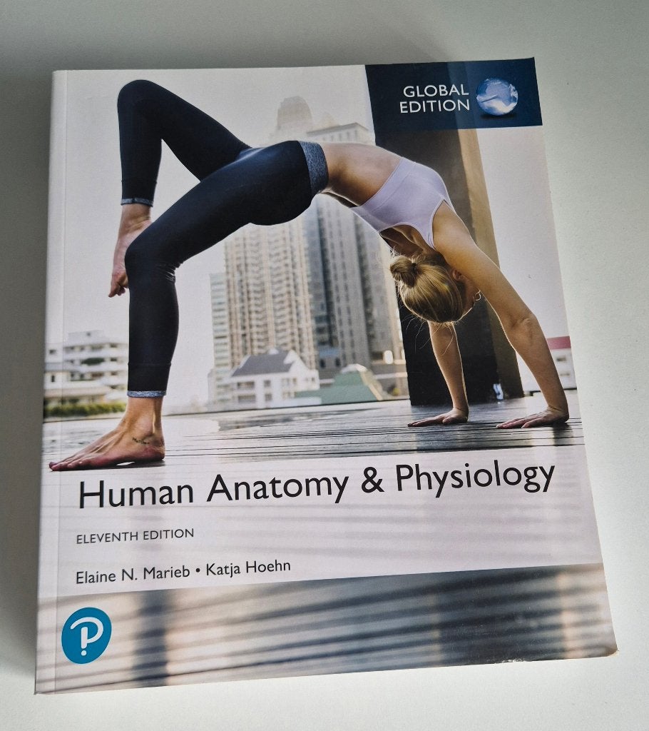 Human Anatomy & Physiology 9781292260853, Elaine N. Marieb, Katja Hoehn, Ophalen of Verzenden, Beta, WO