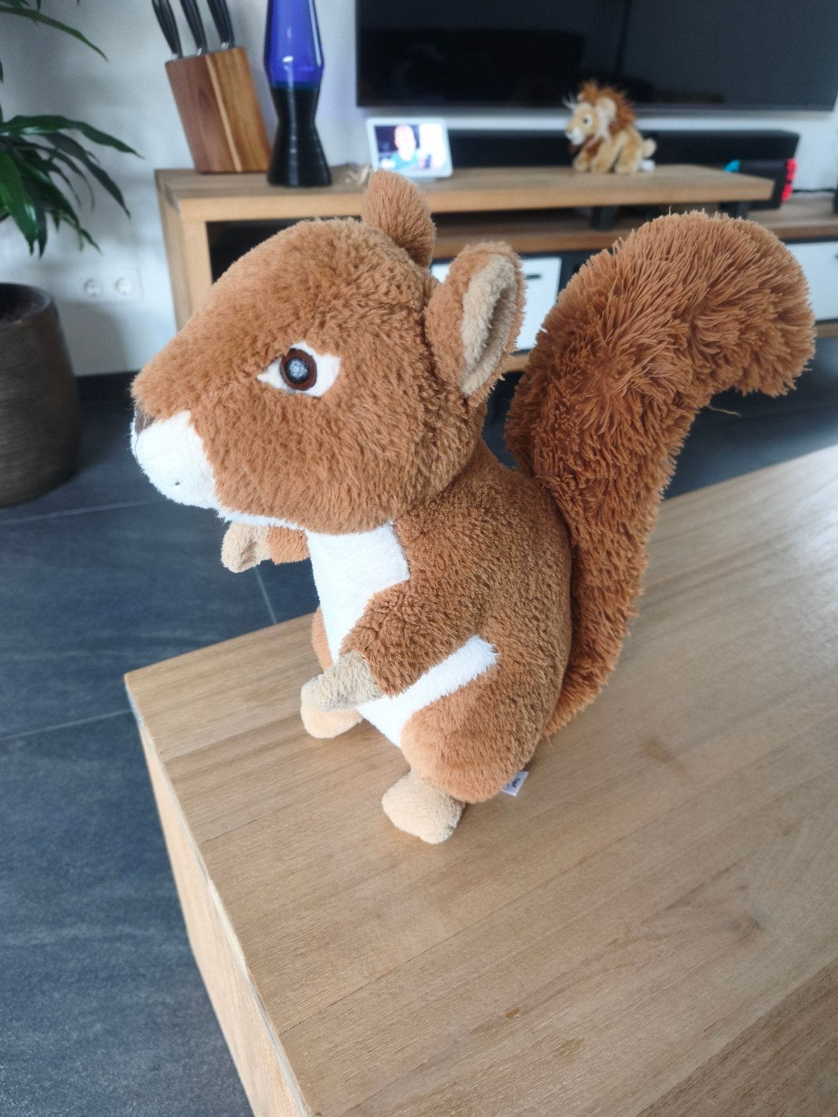 Leuke pluche eekhoorn knuffel, Ophalen, Gebruikt, Overige merken, Overige karakters