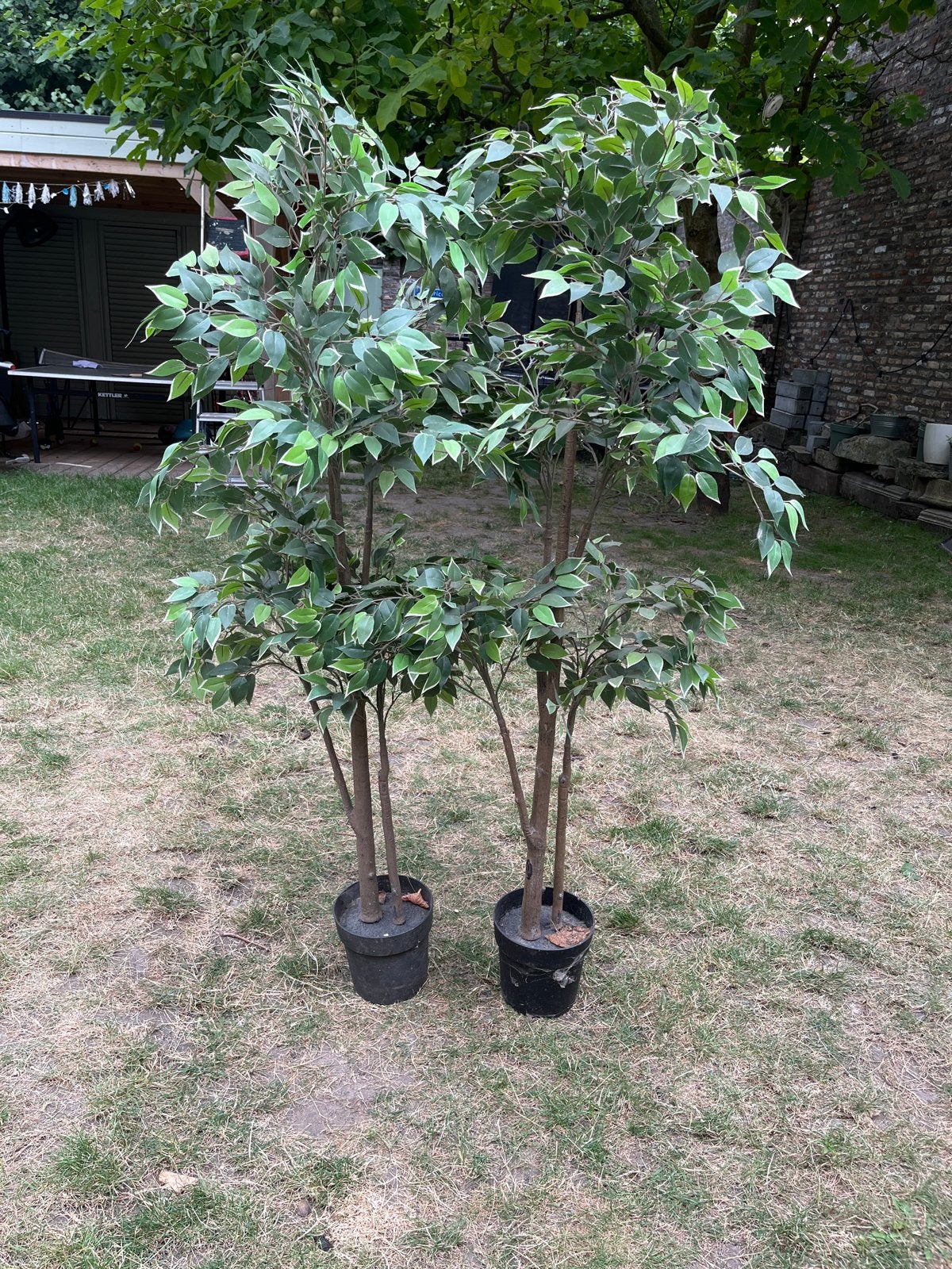 Twee kunstplanten Fejka Ikea binnen en buiten, Huis en Inrichting, Woonaccessoires | Kunstplanten en Kunstbloemen, Ophalen, Binnen