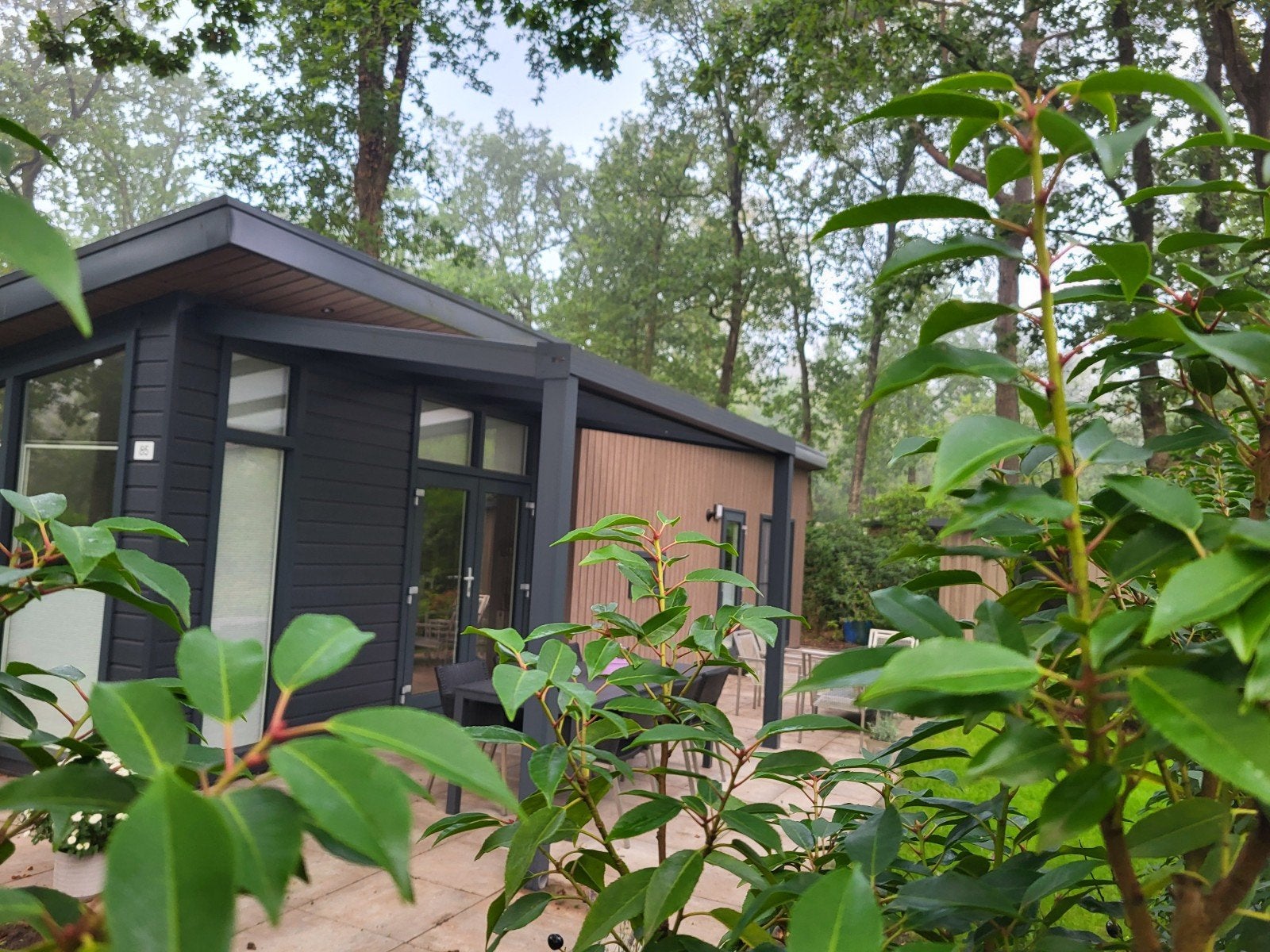 Tijdelijke woonruimte in Chalet op Utechtse Heuvelrug, In bos, 2 slaapkamers, Recreatiepark, Tv