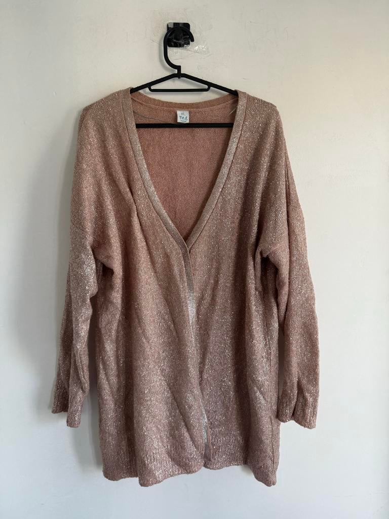 Lichtroze glitter vest van MS Mode, maat XL, Ophalen of Verzenden, Gedragen, Maat 46/48 (XL) of groter, Roze