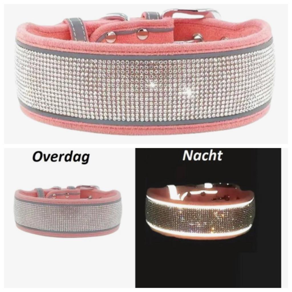 Halsband hond, Dieren en Toebehoren, Ophalen of Verzenden, Nieuw