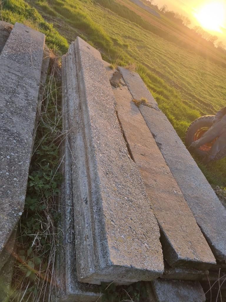 Betonnen schoeiingsschotten, Tuin en Terras, Bloembakken en Plantenbakken, Ophalen, Gebruikt, Rond, Minder dan 30 cm