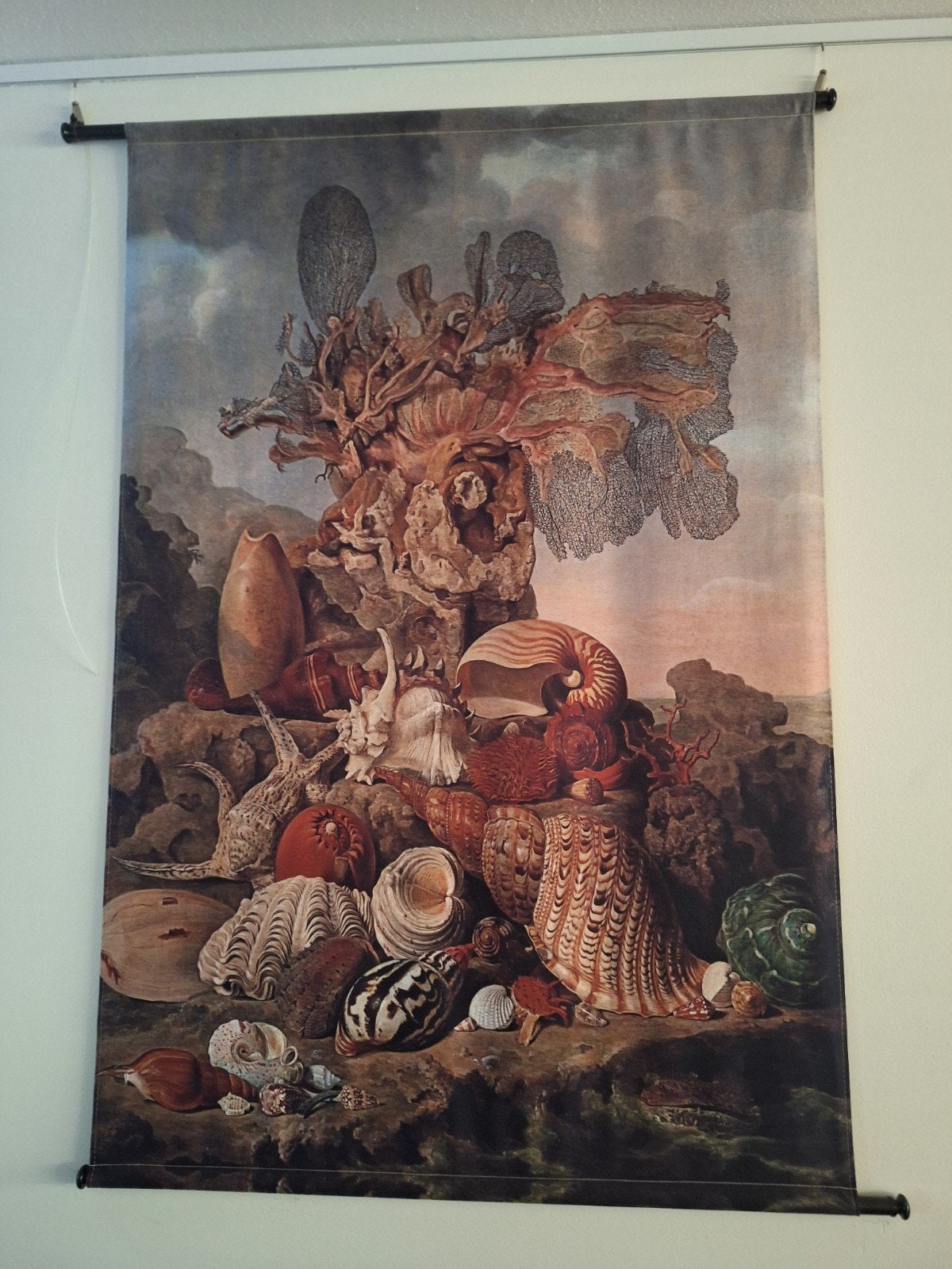 Wandkleed Goosens Schelpen 140x95 cm, Ophalen, Meerkleurig, Klassiek, Zo goed als nieuw