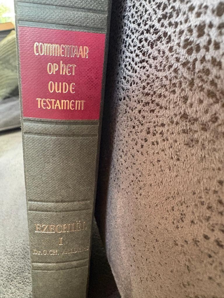 Commentaar op het Oude Testament - Ezechiël I, Ophalen of Verzenden, Gelezen, Christendom | Protestants