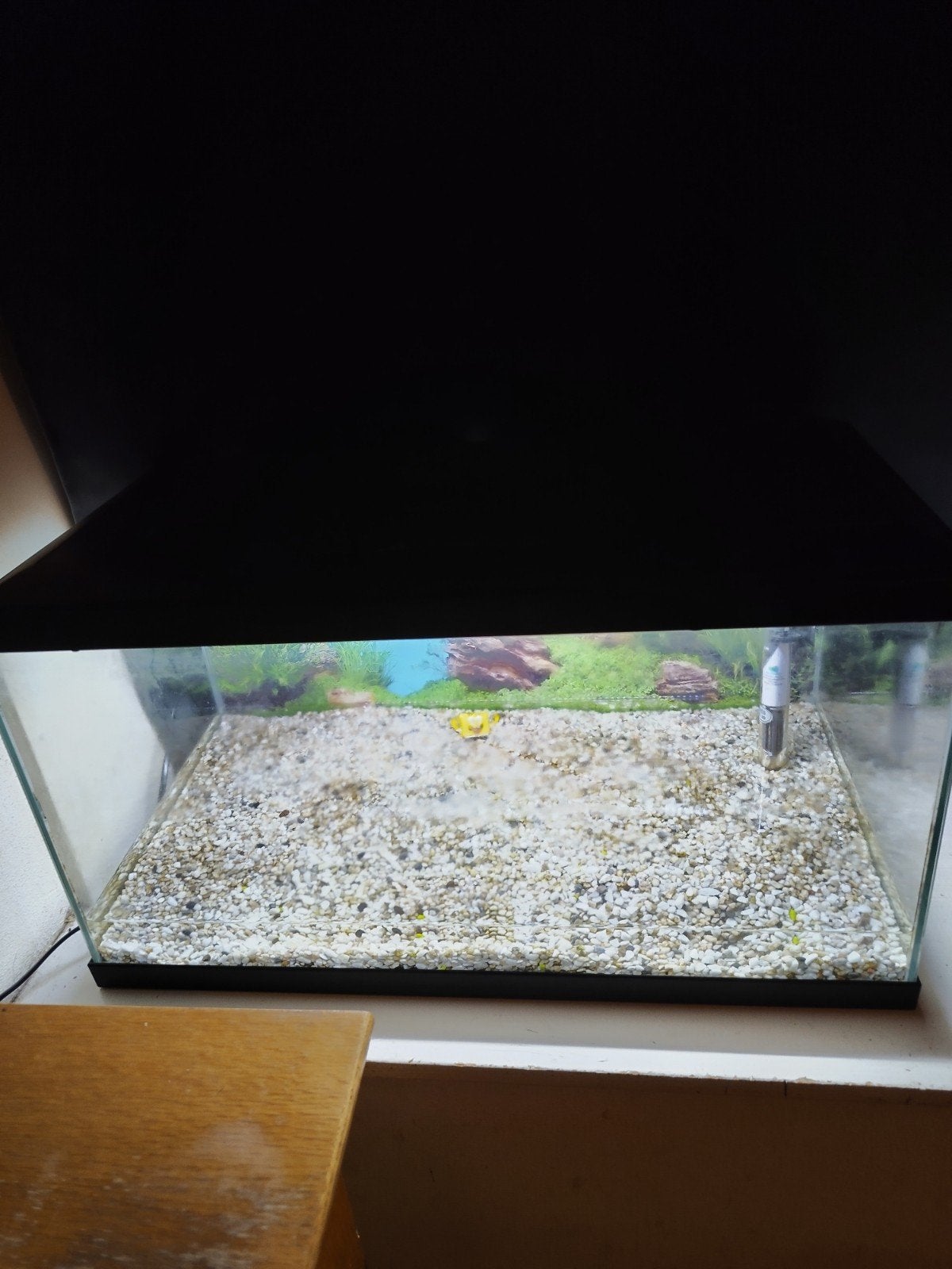 aquarel 60 cm met verwarming geen pomp, Ophalen, Verlichting of Verwarming, Zo goed als nieuw, Inclusief deksel