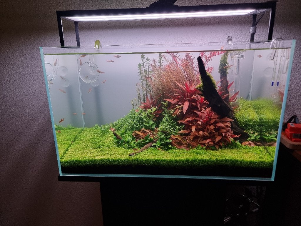 Complete aquascape – Douro 60P Optic White - CO² - Oase 250T, Ophalen, Inclusief deksel, Zo goed als nieuw, Leeg aquarium