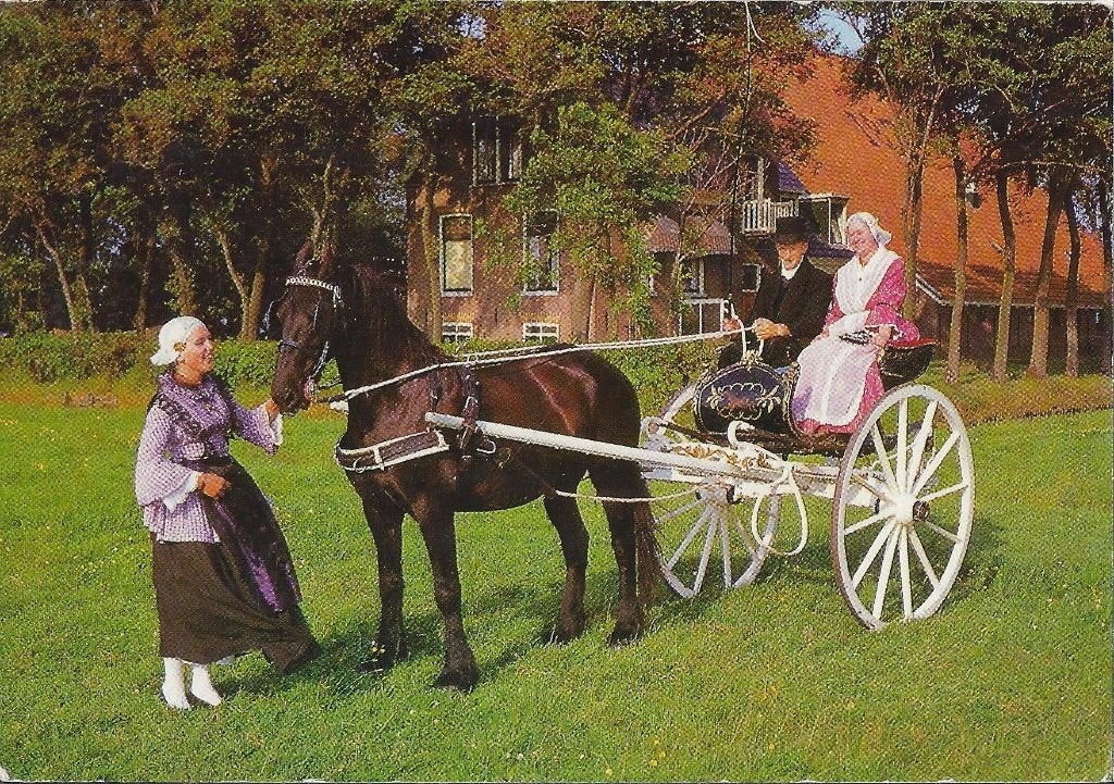 H45 Gelopen Ansichtkaart Friesland klederdracht, Ophalen of Verzenden, 1980 tot heden, Gelopen, Friesland