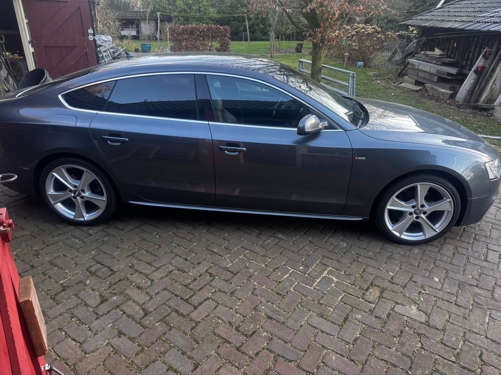 Velgen 19inch, 245 mm, Banden en Velgen, Zomerbanden, Ophalen