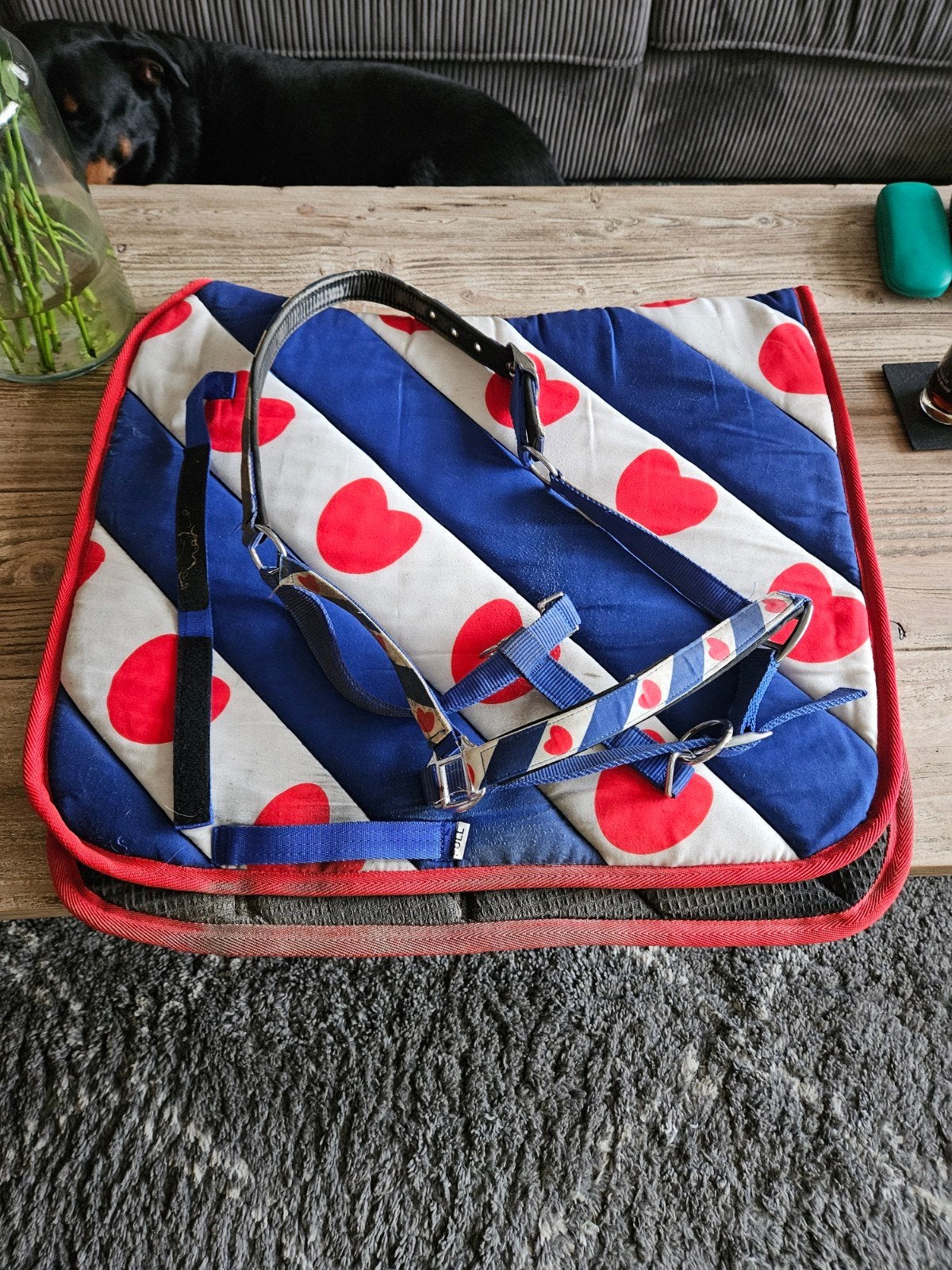 Friese set, Ophalen of Verzenden